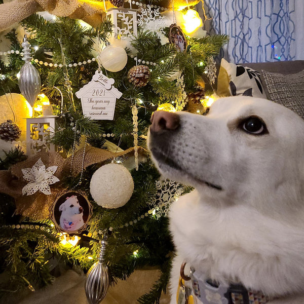 Custom Rescue Dog Ornament